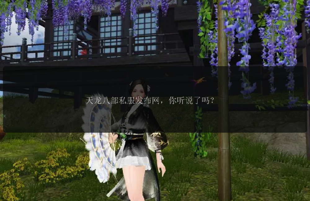 天龙八部私服发布网，你听说了吗？