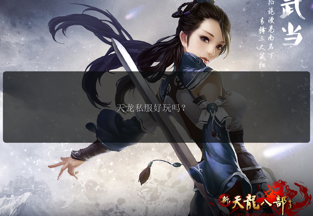 天龙私服好玩吗？