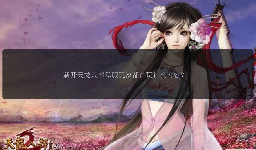 新开天龙八部私服玩家都在玩什么内容？